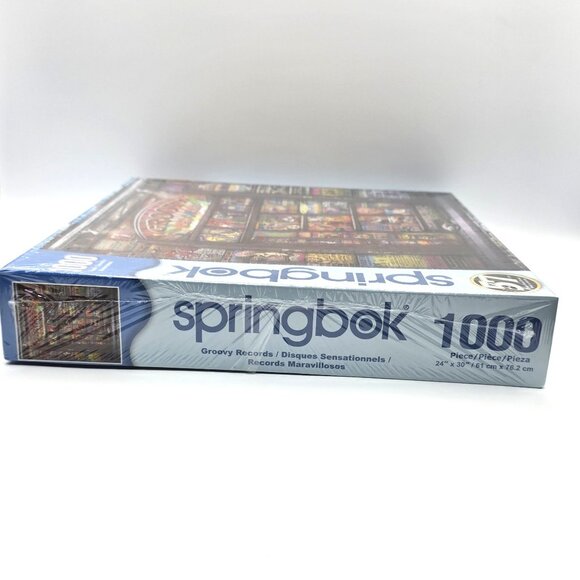 Springbok Groovy Records 1000 Pc Puzzle Doors, Pink Floyd, Hendrix, Led Zeppelin - Picture 4 of 8